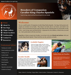 AtlantaCavaliers.com website